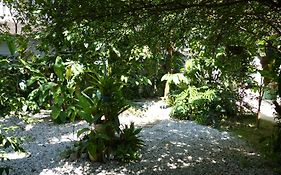 Flautista Suites